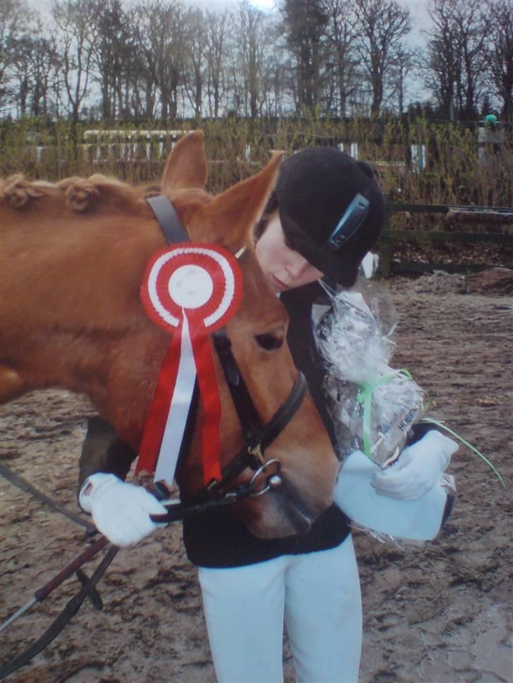 Anden særlig race Lykkensprøves Milano billede 13