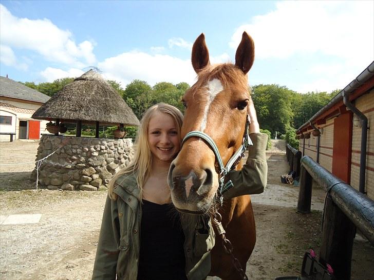 Anden særlig race Lykkensprøves Milano billede 14