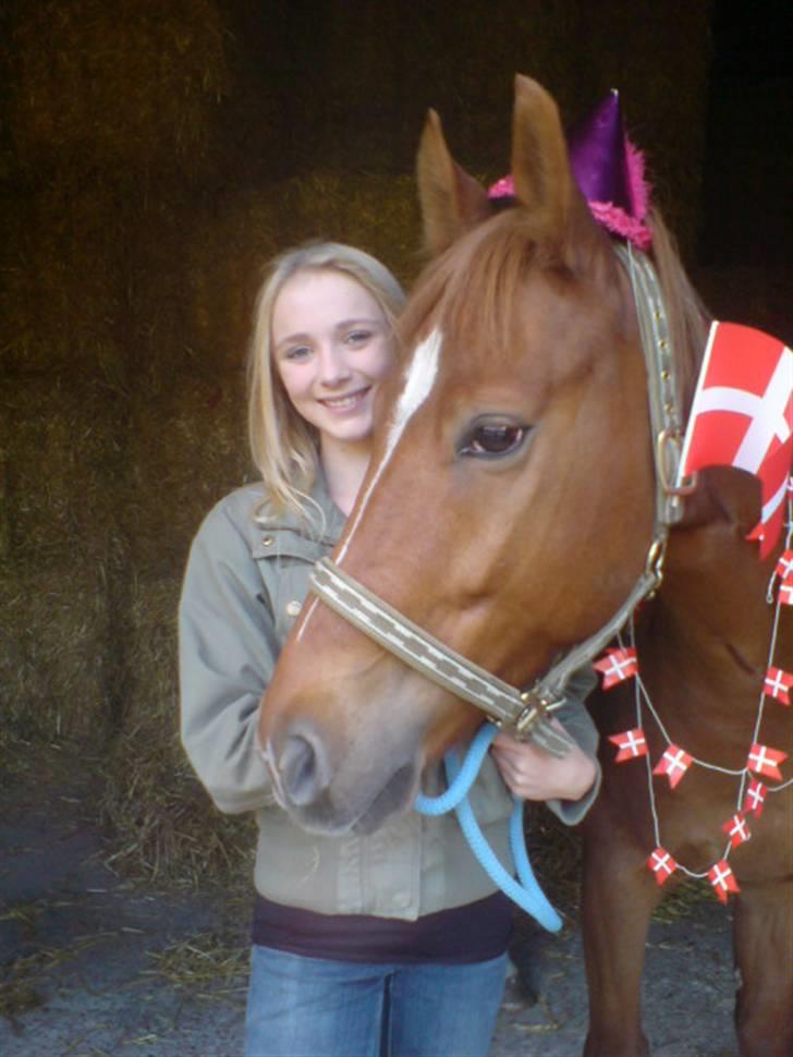 Anden særlig race Lykkensprøves Milano billede 16