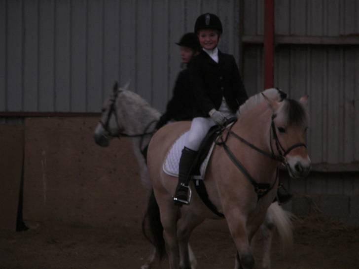 Fjordhest Candis  - opvarmning. Candis er bare dejlig billede 3