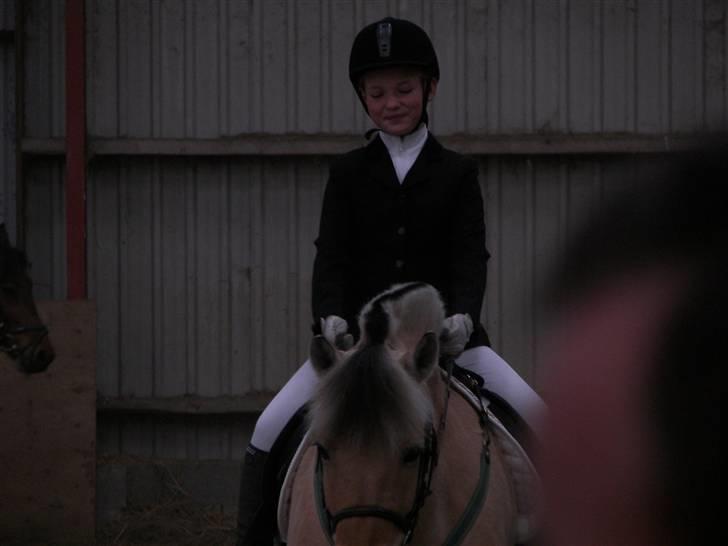 Fjordhest Candis  - vi er bare super gode hvis vi ingen plasering får har vi jo prøvet og hygget os billede 4