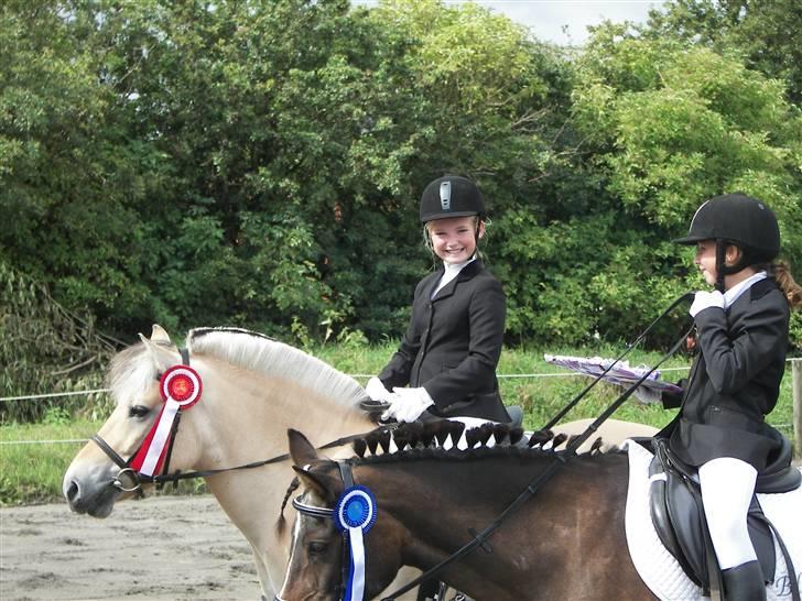 Fjordhest Candis  - katrine ser dum ud og hun roser mig og mmhh vi har vundet en slik sten håber jeg må få noget når jeg kommer hjem billede 10