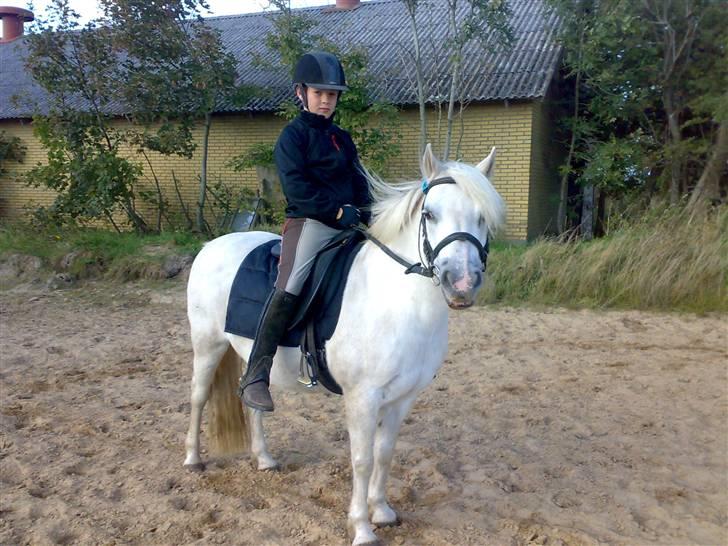 Anden særlig race Nuggi billede 8