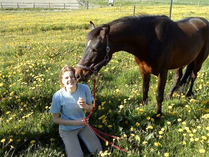 DSP King *rider ikke mere* - Petra&King (: Elsker dem begge<33 billede 4