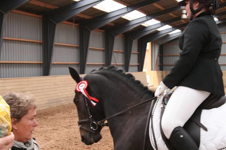 Oldenborg /frieser Ulrika Van Diejk billede 1