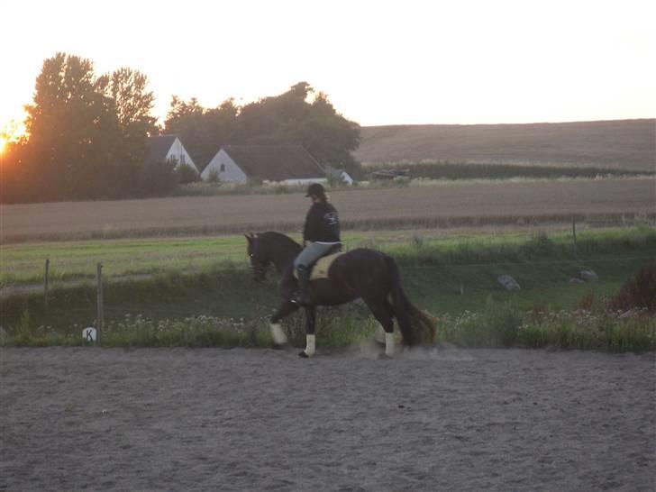 Oldenborg /frieser Ulrika Van Diejk billede 6