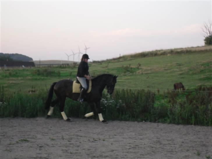 Oldenborg /frieser Ulrika Van Diejk billede 7