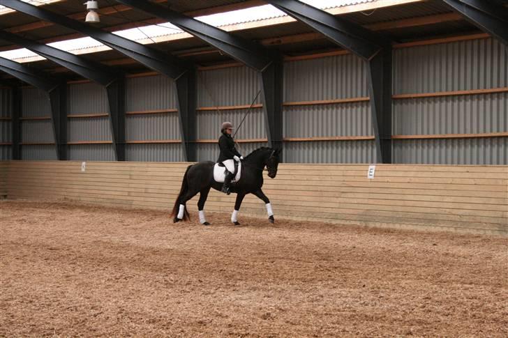 Oldenborg /frieser Ulrika Van Diejk billede 10
