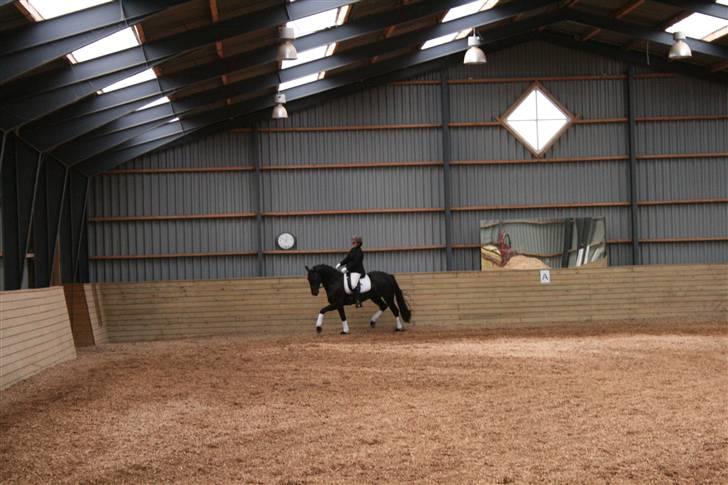 Oldenborg /frieser Ulrika Van Diejk billede 11