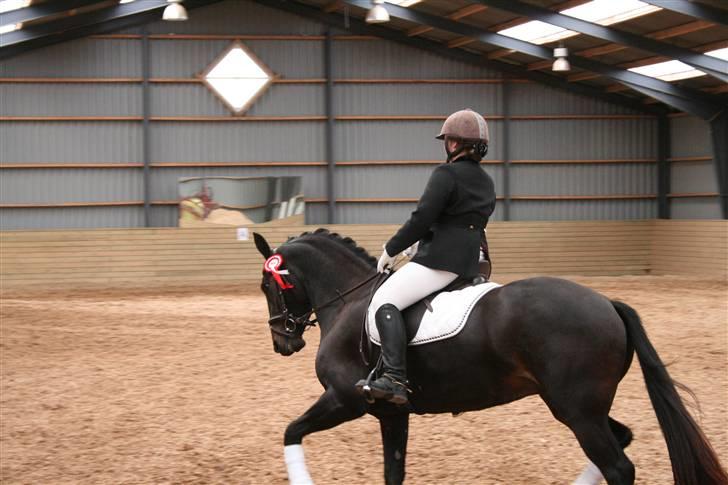 Oldenborg /frieser Ulrika Van Diejk billede 13