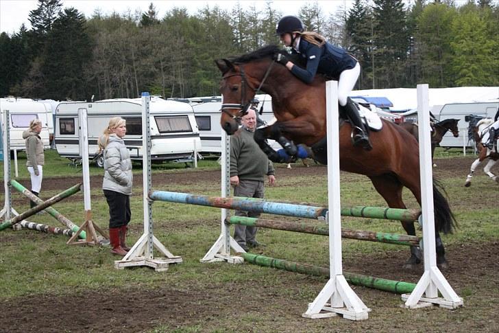 Anden særlig race Nikita  - Opvarmning, ¨Mosø 2010 - foto: Kirstine Bystrup. billede 12