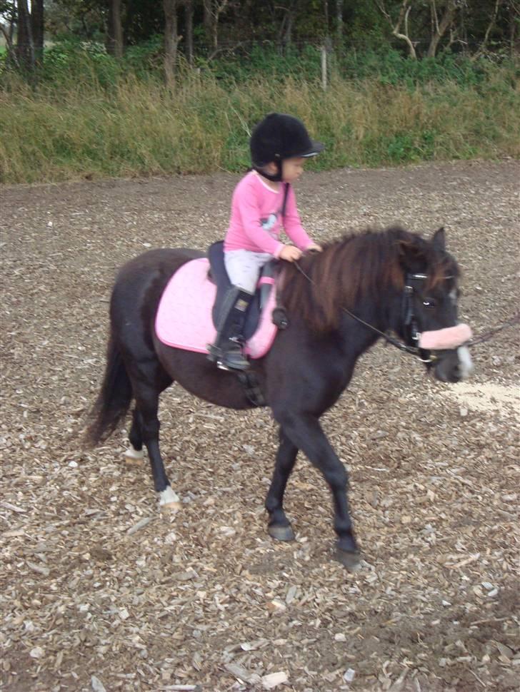 Anden særlig race Stabygårds Mia Maja billede 16