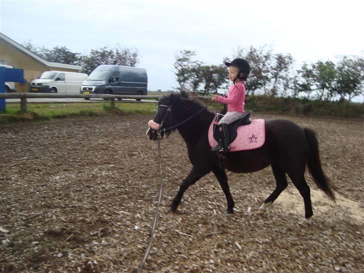 Anden særlig race Stabygårds Mia Maja billede 17