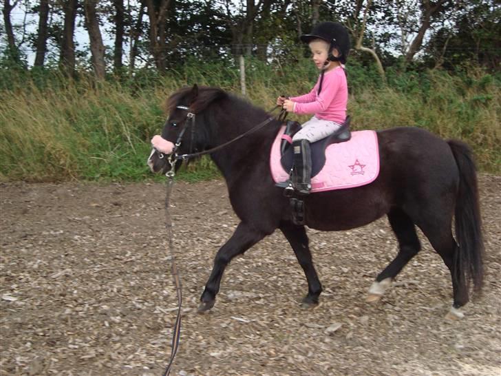 Anden særlig race Stabygårds Mia Maja billede 18