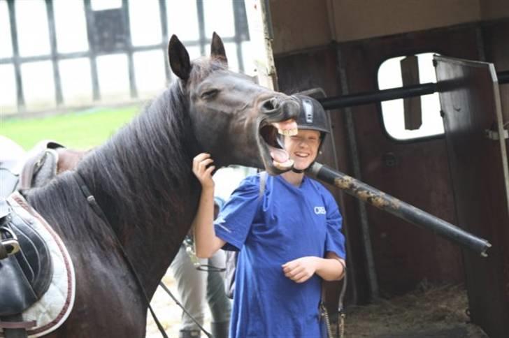 Anden særlig race Thyra - Træt er man da altid..  Foto: Annika billede 8