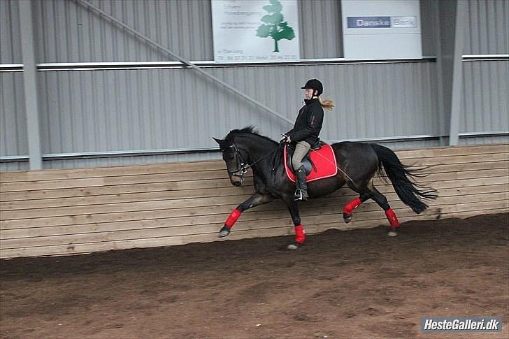 Anden særlig race Thyra - Lækkert <3 Foto Julie R billede 9