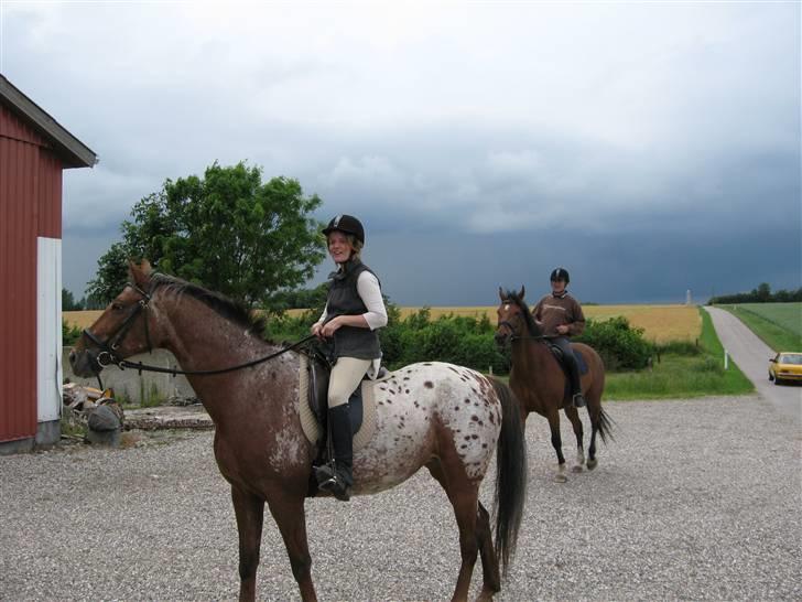 Knabstrupper Bækkeskov´s Pondora  - den dag Torben og jeg red jorden rundt. (børnenes kommentar) :) billede 1