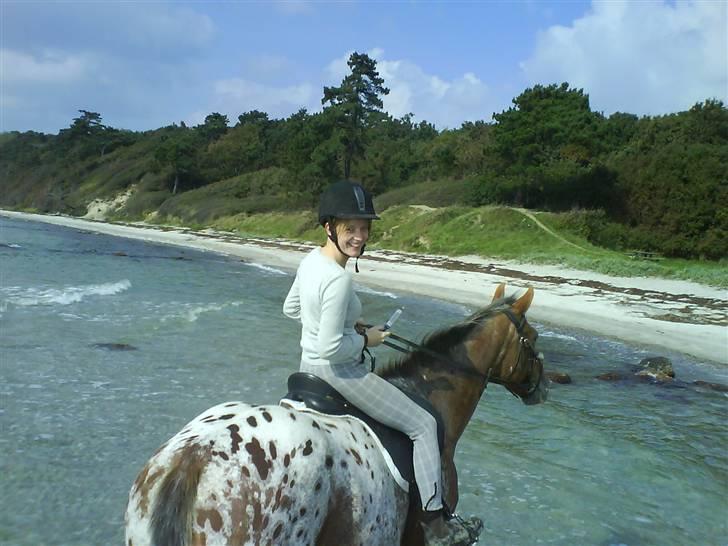 Knabstrupper Bækkeskov´s Pondora  - en dejlig tur i vandet. :) billede 4