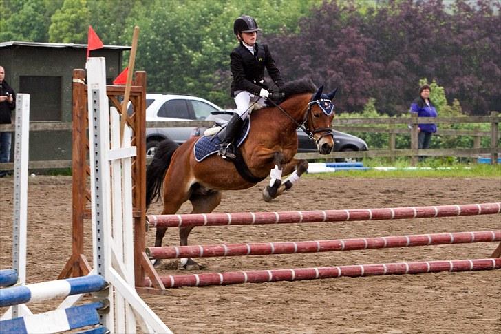 Anden særlig race Laban |*Mit ét og alt<3*| - Mega sjovt billed :) Tror det var i omspringningen :) xD foto Ct.foto
Det var dengang :´( billede 10