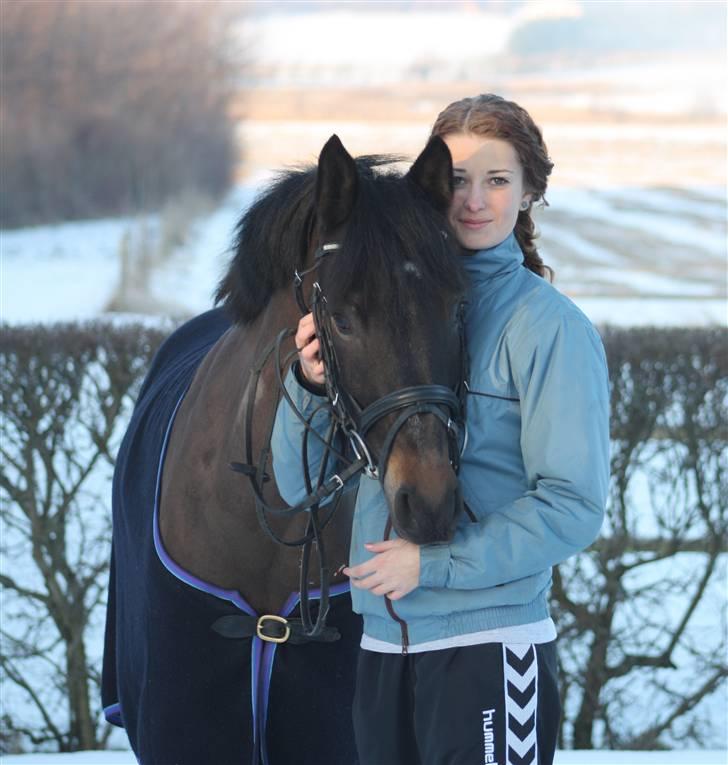 New Forest Mandy billede 9