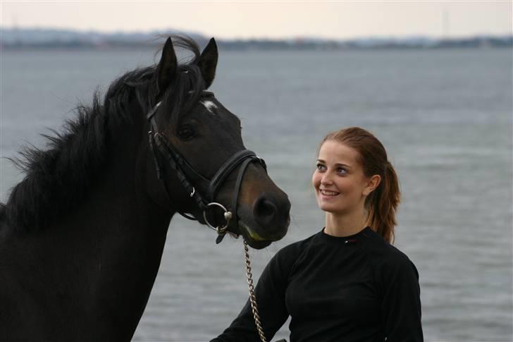 New Forest Mandy billede 12