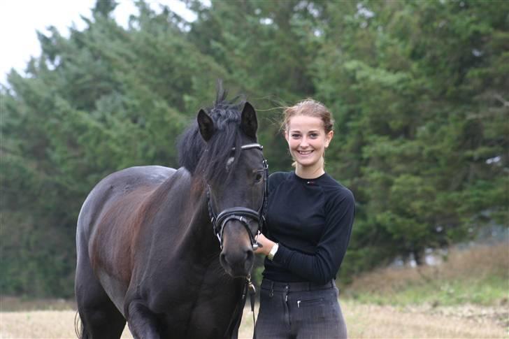 New Forest Mandy billede 15