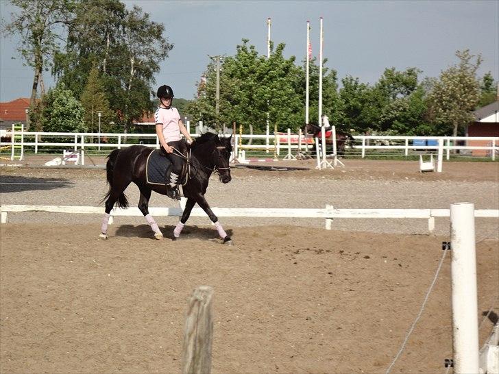 Anden særlig race Dina * Solgt * - Dina og Laura:) Dejligt par:)<3 billede 3