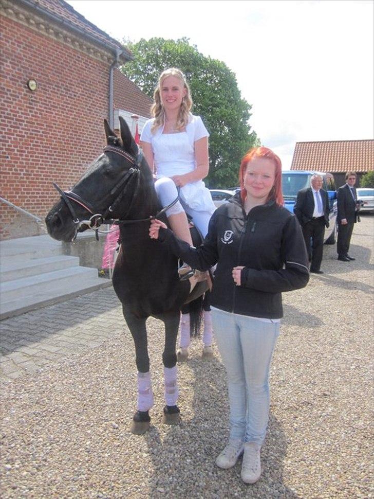 Anden særlig race Dina * Solgt * - Dina kom og hentede mig ved kirken:)  billede 4