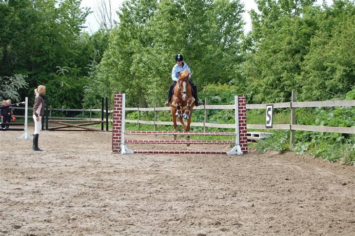 Frederiksborg Stella *RIP* :'( - Jubilæumsstævne på rideskolen, kostumespring billede 13