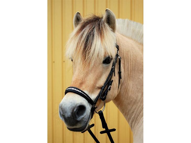 {{currentPhoto.altText}} billede {{currentPhoto.number}}