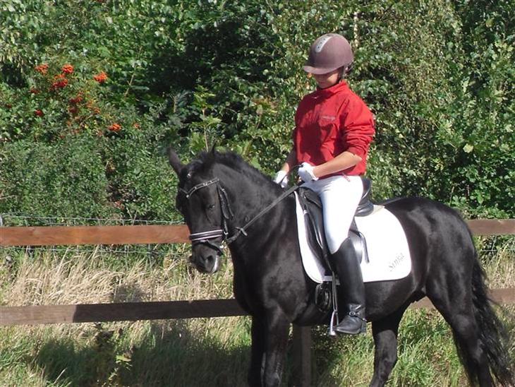 {{currentPhoto.altText}} billede {{currentPhoto.number}}