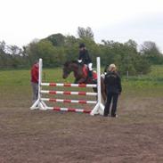 Anden særlig race LUKAS