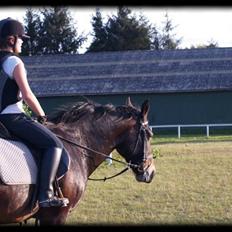 Anden særlig race  - Donna - DENGANG :'(