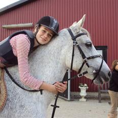 Anden særlig race Nikita himmel heste R.i.p