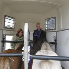 Anden særlig race Salige Sally SOLGT