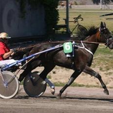 Traver Keen Hanover