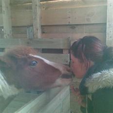 Anden særlig race Blue Eye´s