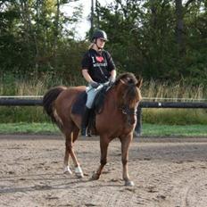 Anden særlig race Tequila