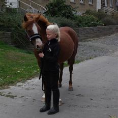 Anden særlig race Bella