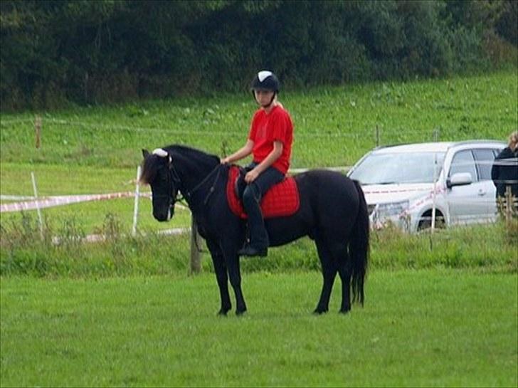 Anden særlig race Maxi - 9 ¤ DK Pony Cup 2010 <3 ahr-foto ---hey flotte :´) billede 9