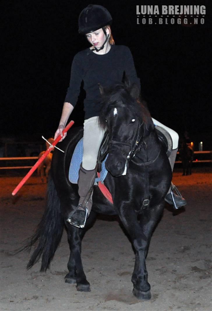 Anden særlig race Maxi - 10 ¤ Foto: Luna - lob.blogg.no billede 10