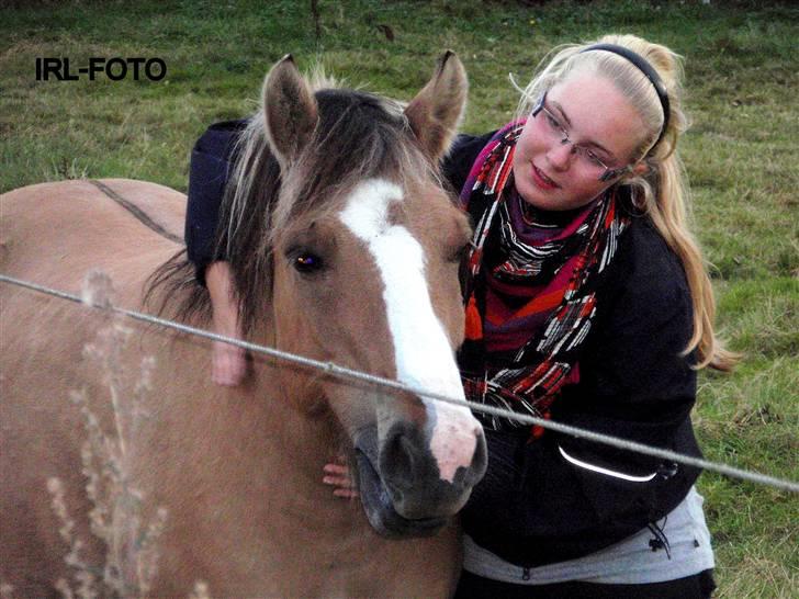 Anden særlig race Magnus'soulmate<3 *R.I.P* - Magnus, 23 September, nede og sige farvel ;´( jeg elsker dig overalt på jorden pony. billede 18