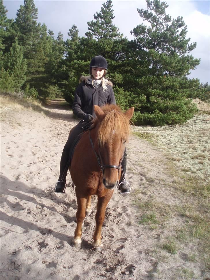 Islænder Sigge - Da Siggemanden var på ophold i Jylland (: billede 10