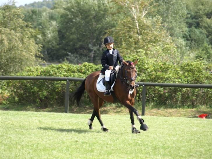 Anden særlig race Bakkegårdens Coco Casino billede 2