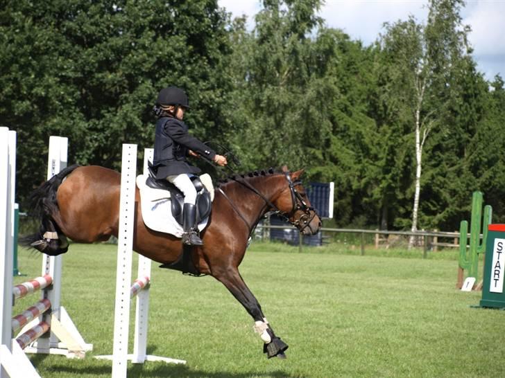 Anden særlig race Bakkegårdens Coco Casino billede 5