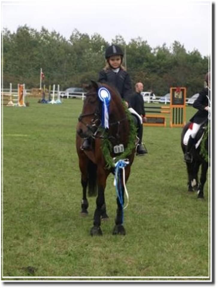 Anden særlig race Bakkegårdens Coco Casino billede 8