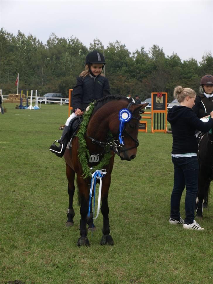 Anden særlig race Bakkegårdens Coco Casino billede 9