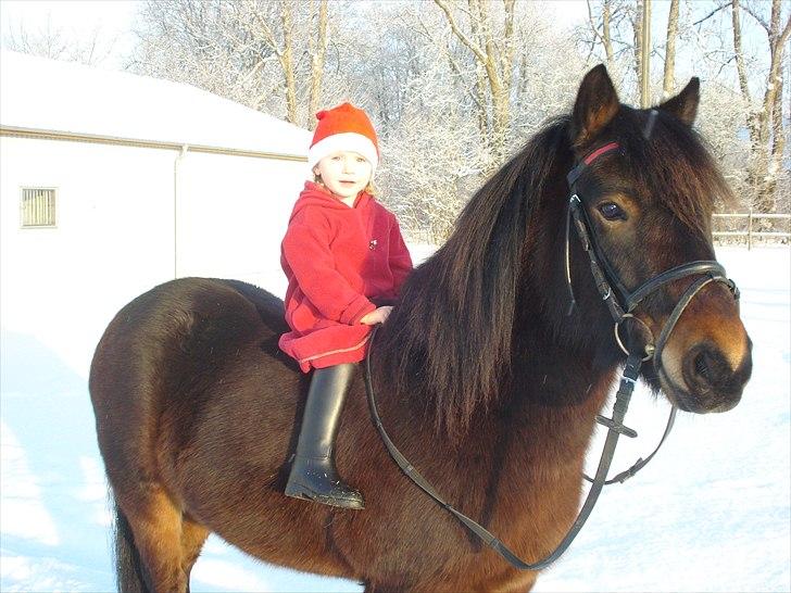 Anden særlig race Magnum.. - Mathilde og Magnum´s julebillede som de gav i julegave :0) billede 8