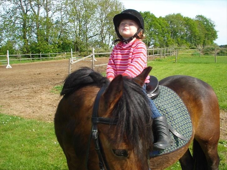 Anden særlig race Magnum.. - Mathilde elsker sin ponz som er kommet hjem igen efter lån.Billede er fra d.31/5-2010. billede 12