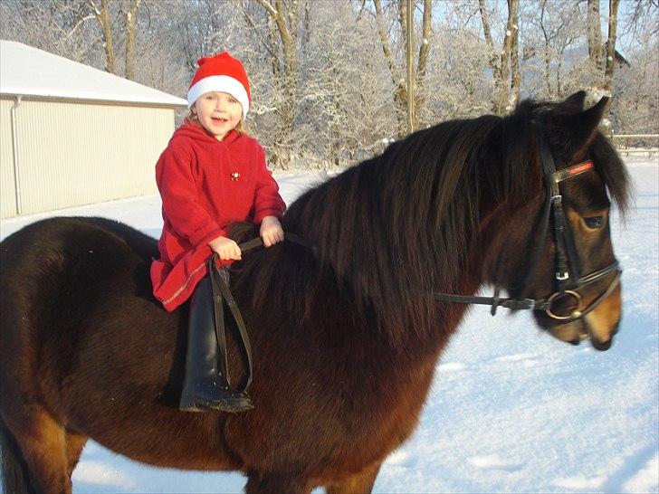 Anden særlig race Magnum.. - December 2010 billede 9